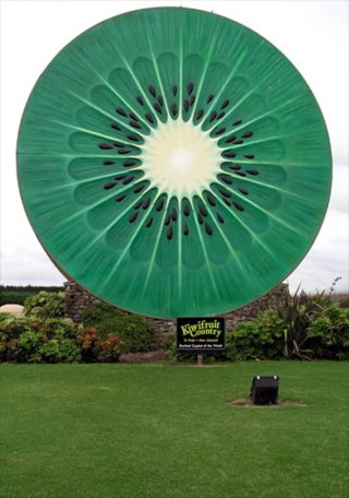 The Giant Kiwifruit